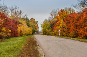 Road with a railway crossing sign surrounded by colorful fall trees.