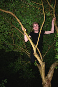 Madman in a tree