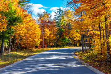 A Road at Autumn in Door County of Wisconsin
