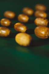 Acorn nuts on a green background. Moody autumn. Brown and green colours. High quality photo