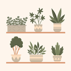 Set of plants in pots on shelves.  Graphic elements for greeting cards, posters, invitations. Vector illustration.