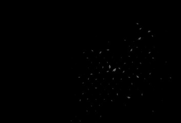 Dark Black vector doodle pattern.