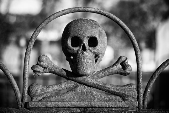 Scary skull ornament