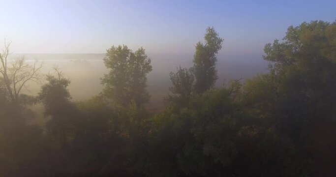 Aerial view of pink sunrise on misty valley of Siverskyi Donets river near Zmiiv city, Ukraine. Sideways camera movement