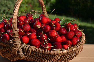 Panier de cerisees
