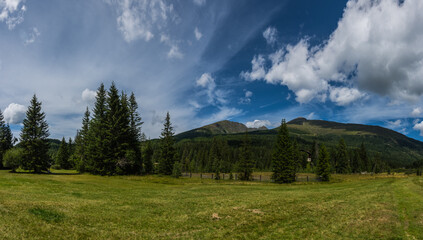 trees and meadow in the mountains with blue sky