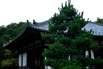 Akishinoji temple in Nara.
