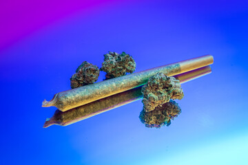Marijuana Buds and Joint