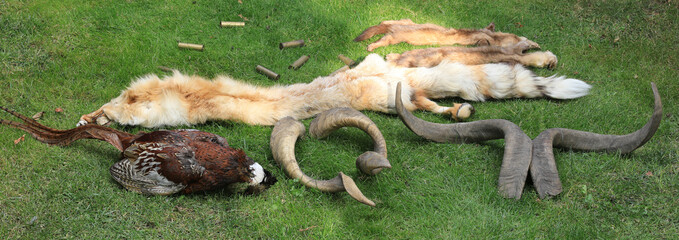 poaching prey,killing animals,hunting trophies