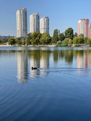 City, Lake and duck