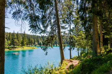 Obraz premium Caumasee, Lag la Cauma, Lai da Cauma, Bergsee, Badesee, Flims, Wassersport, Wanderweg, Wanderferien, Flimser Wald, Alpen, Graubünden, Sommer, Schweiz