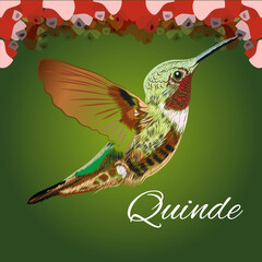 Picaflor Quinde Ecuador © santiago