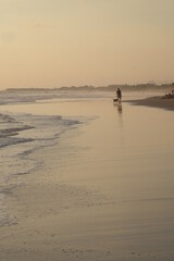 Fototapeta na wymiar people ang dog walking on the beach