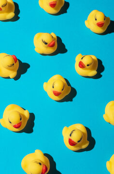 Baby ducks/toys on blue background.