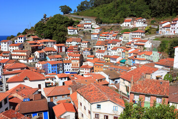Fototapeta na wymiar The town of Cudillero, in northern Spain, walls and roofs