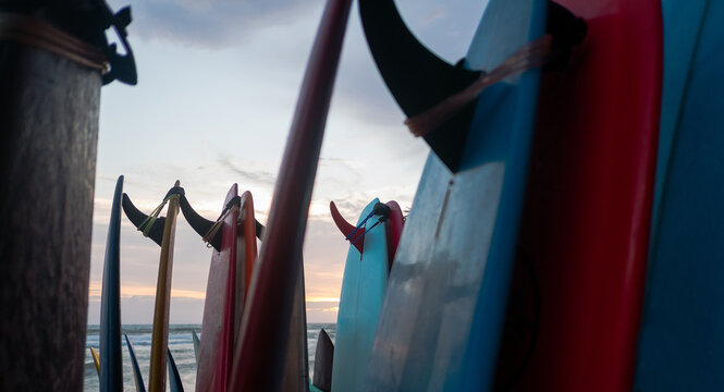 Colourful surfboards along the beach.