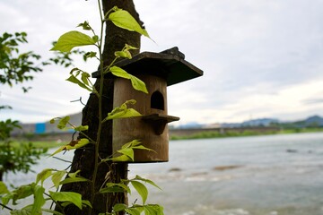The wooden bird house near the Kiso river.