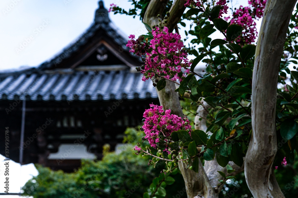 Poster Shinyakushiji temple in Nara.