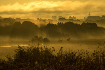 morning mist over swamp