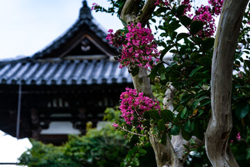Shinyakushiji temple in Nara.