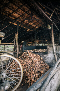 Coconut Meat Drying and Deshelling Station for Copra Extraction