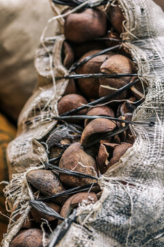 Sacks of Copra (Dried Coconut Meat for Oil Extraction)