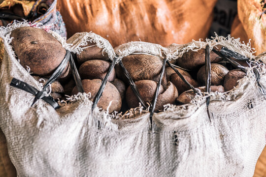Sacks of Copra (Dried Coconut Meat for Oil Extraction)
