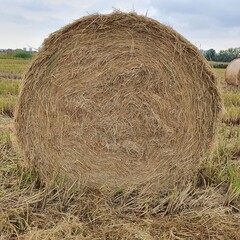 bales of hay