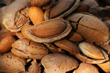 almond harvest time - broken almonds