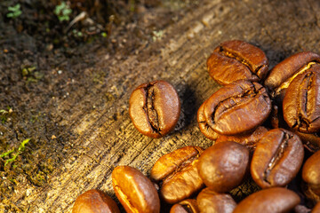 roasted Coffee beans on wood background