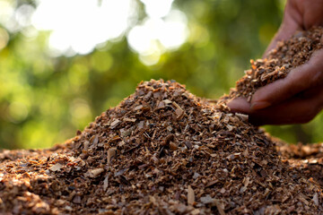 Lots of sawdust piled up in the middle of a sunny area.