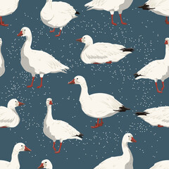 Seamless pattern with snow geese and snowfall. White arctic goose Anser caerulescens. Birds of the North, inhabiting Greenland, Alaska, Canada, Siberia and the Arctic. Vector illustration