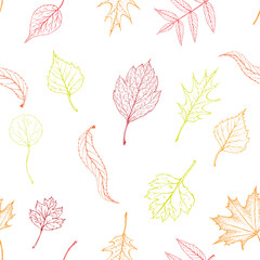 seamless autumn leaves pattern. hand drawn leaves endless background in fall colors. red, yellow, golden foliage silhouettes sketch. skeletone of maple, birch, hawthorn leaves. Seasonal background