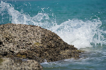 Sea wave beats on a stone