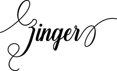 Zinger Script Cursive Calligraphy Typography Black text lettering Script Cursive and phrases isolated on the White background for titles and sayings