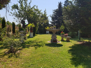 Grüner Garten mit verschiedenen Palmen und Dekoration