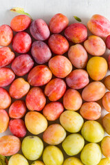 Healthy fresh plums on delicate background.