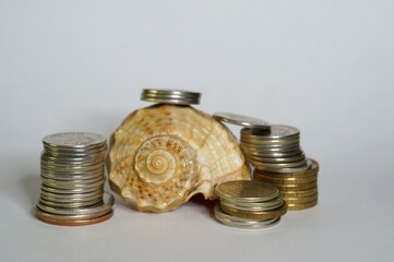 Shell with coins in close-up. Money for travel.