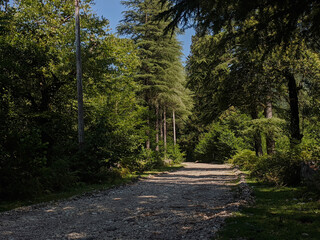 The street the village In gravel

