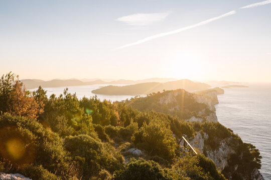 early morning sun hits overgrown croatian coastline