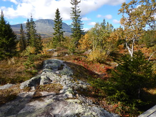 Fototapeta na wymiar Fall colors in the mountains