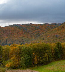 Jesienne kolory nad fjorem Ustedalsfjorden w regionie Buskerud w okolicy miasta Geilo w Norwegii
