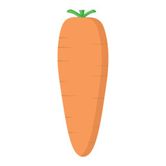 Drawn isolated carrots of orange color in a minimalist style