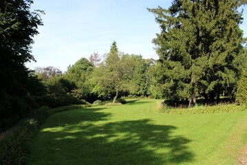 Obraz premium Garden