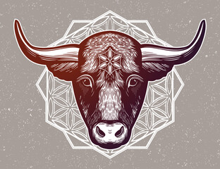 OrnateTaurus Zodiac Star Sign.Symbol of harmony, luck in new year. Vector illustration isolated. Spiritual art for tattoo.
