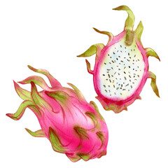 Dragon fruit isolated on white background. Tropical illustration, Hand drawn watercolor sketch. Stock illustration  of dessert.