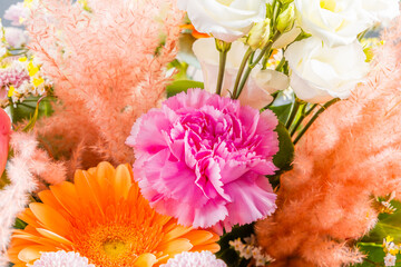 Gros plan sur un bouquet de fleurs avec des pétales couleur pastel