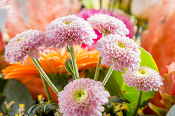Gros plan sur un bouquet de fleurs avec des pétales couleur pastel