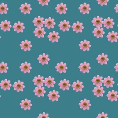 Cosmos. Illustration, texture of flowers. Seamless pattern for c