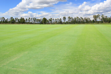 golf course with sky